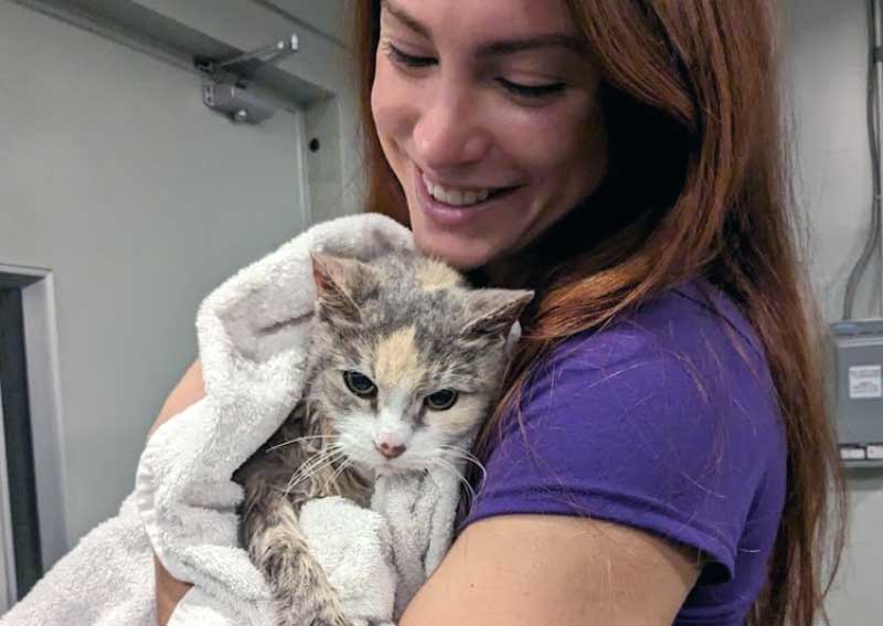 Carousel Slide 3: Recreational swimming for pets